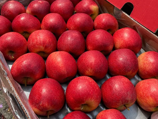 Apples packed for export — fresh fruit from South Africa, VeroChain