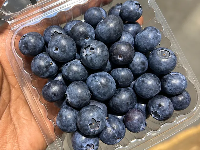 Blueberries packed for export — fresh fruit from South Africa, VeroChain