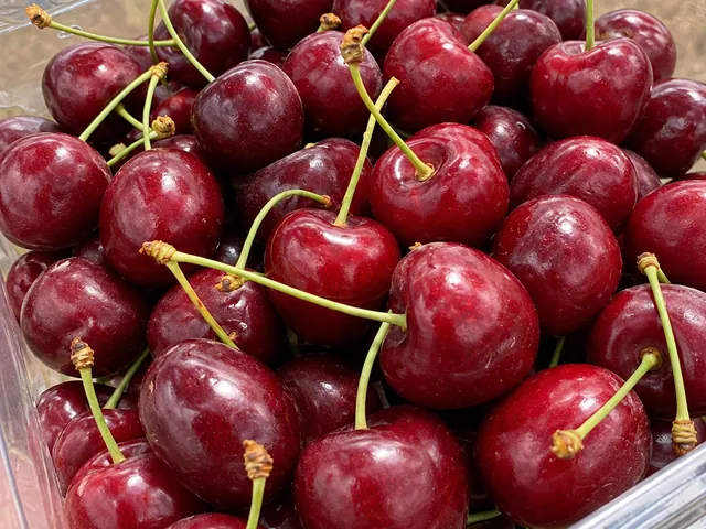 Cherries packed for export — fresh fruit from South Africa, VeroChain