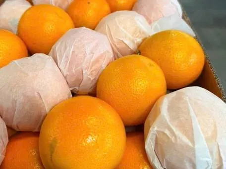 Tissue-wrapped citrus in a premium-grade carton