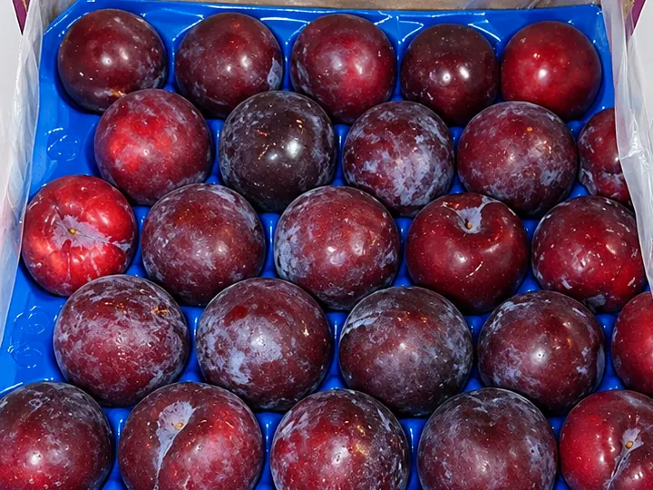 Plums in export cartons