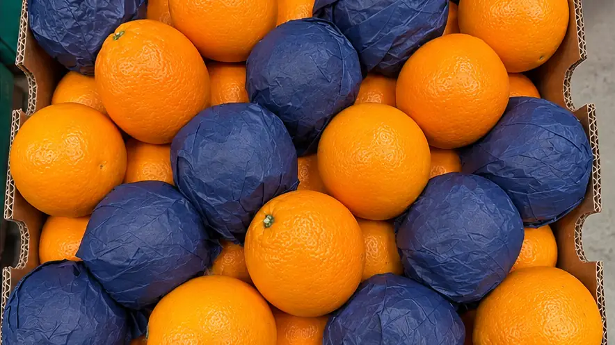 Tissue-wrapped oranges in an export crate