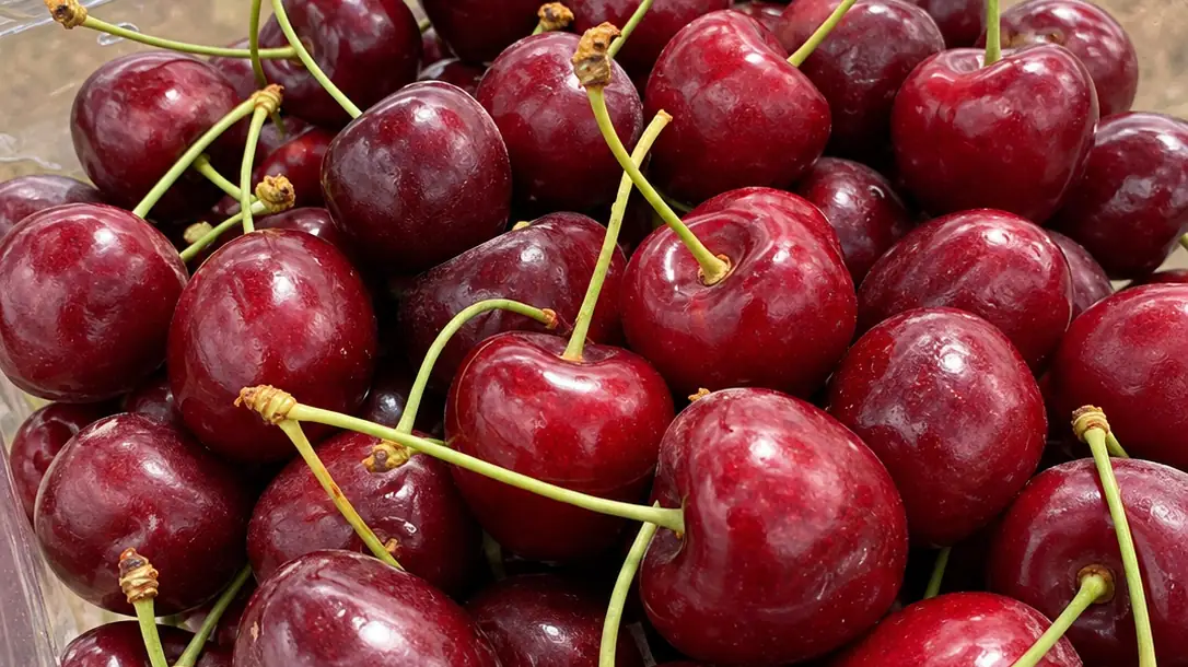 Dark red cherries in a clear clamshell punnet