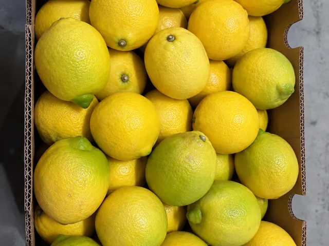 Lemons & Limes packed for export — fresh fruit from South Africa / Egypt, VeroChain