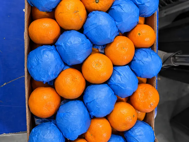 Mandarins packed for export — fresh fruit from South Africa, VeroChain