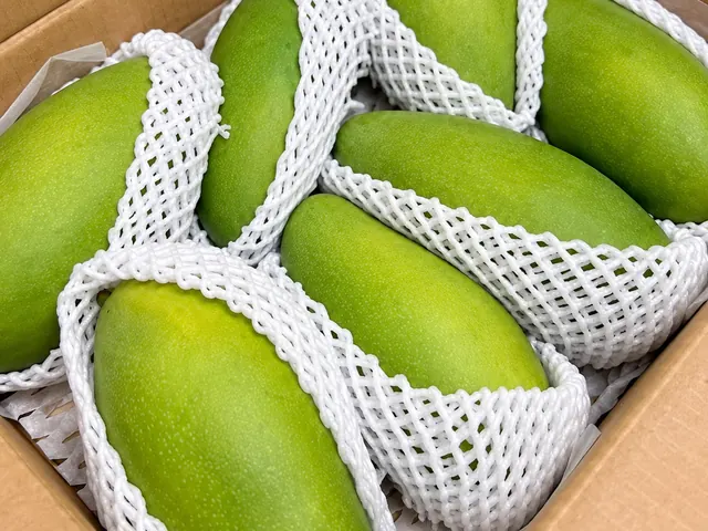 Mangoes packed for export — fresh fruit from South Africa, VeroChain