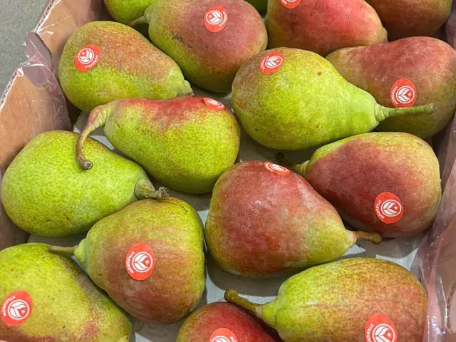 Pears packed for export — fresh fruit from South Africa, VeroChain