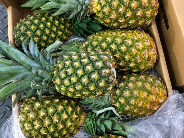Pineapple packed for export — fresh fruit from Vietnam, VeroChain