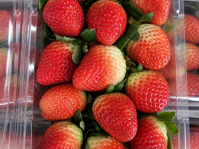 Strawberries packed for export — fresh fruit from Australia, VeroChain